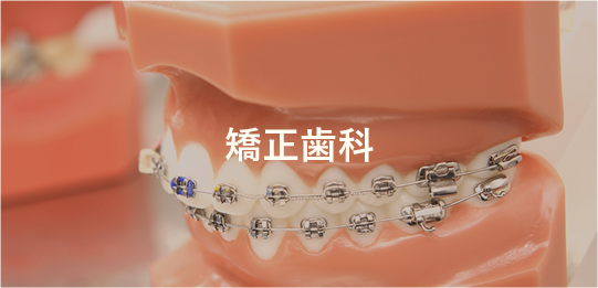 矯正歯科