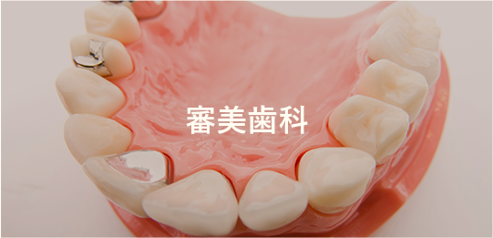 審美歯科